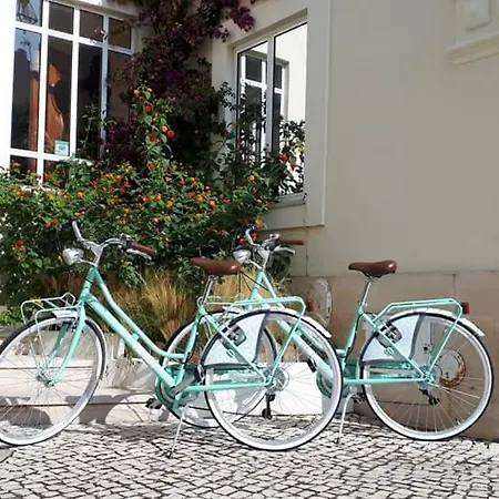 圣佩德罗阿尔伯凯利酒店 招待所 圣马蒂纽·杜·波特